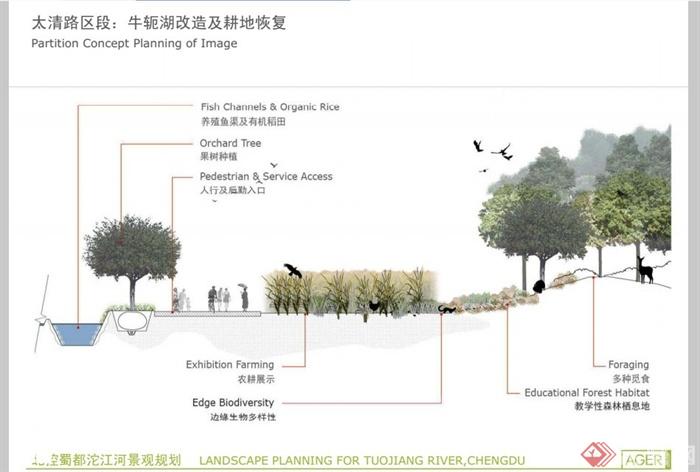 成都郫县沱江河景观规划设计PDF方案(17)