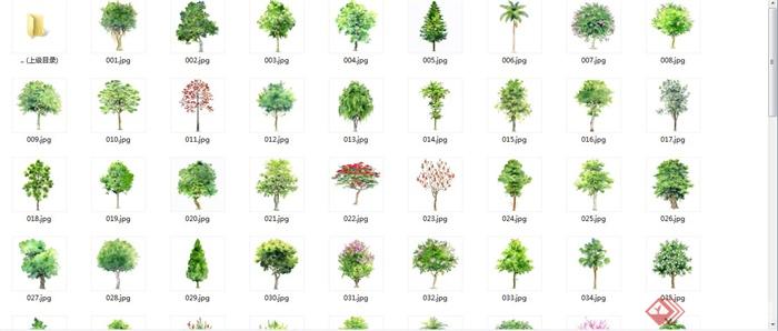99棵手绘树植物素材jpg图片(5)