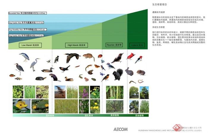 昆山阳澄湖湿地公园景观规划设计PDF方案(7)