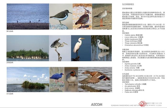 昆山阳澄湖湿地公园景观规划设计PDF方案(8)
