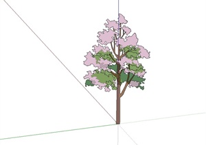 38种不同的透明树木素材设计SU(草图大师)模型