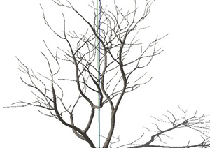 枯枝枯树素材SU(草图大师)模型