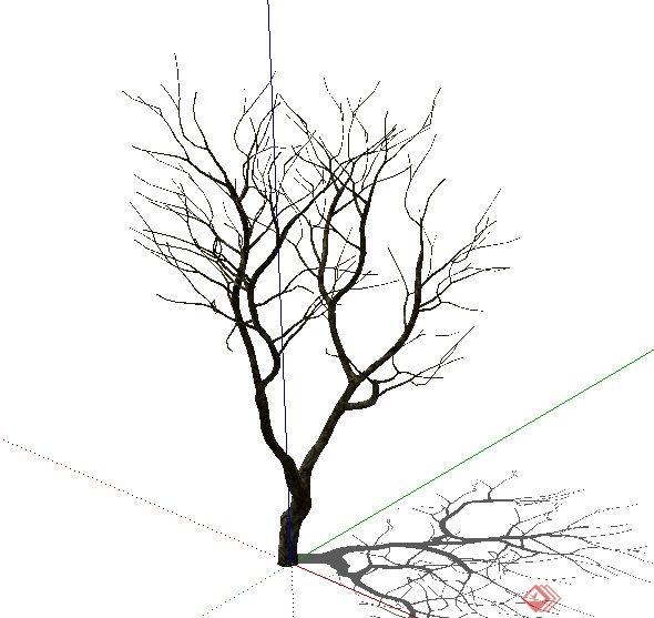枯树植物su模型(2)