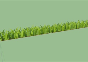29种不同的草及灌木植物素材设计SU(草图大师)模型