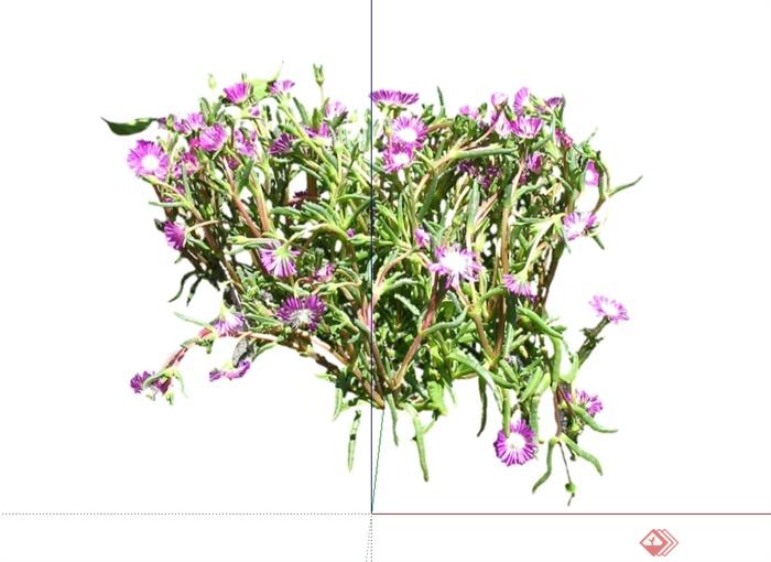 491种不同的花卉灌木植物组件全集设计su模型(1)