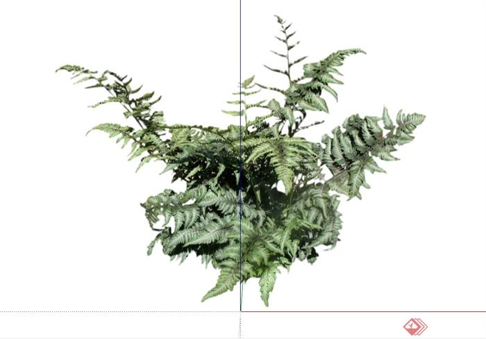 491种不同的花卉灌木植物组件全集设计su模型(5)