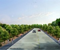 公路绿化效果图及PSD分层植物高清素材