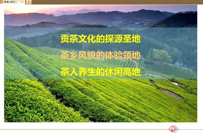 某地区茶文化旅游区概念规划设计pdf方案(4)