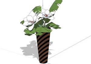 白色花朵花瓶陈设SU(草图大师)模型