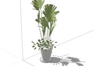盆景植物素材SU(草图大师)模型