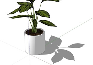 植物小盆栽SU(草图大师)模型