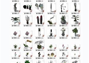 某多种 不同的室内植物盆栽花草装饰花瓶插花摆件485个SU(草图大师)模型