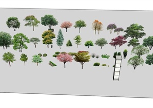 多种不同的2d景观植物树木设计SU(草图大师)模型